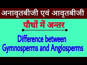 Difference between Gymnosperms and Angiosperms | अनावृतबीजी एवं आवृतबीजी पौधों में अन्तर | biology