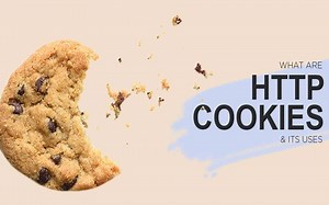 一个视频教你如何使用http cookies