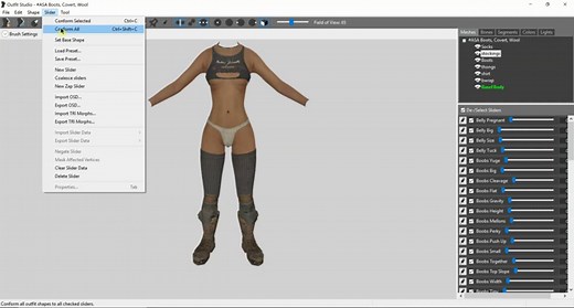 CBBE to Fusion Girl Bodyslide Conversion Reference
