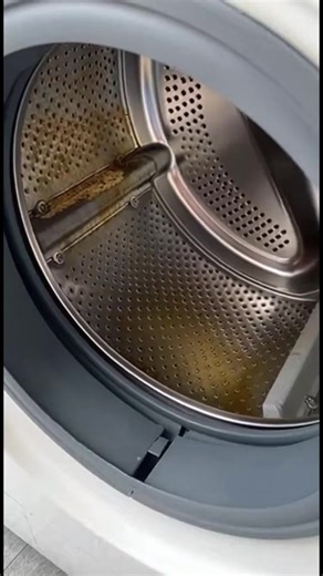 Effective Washing Machine Cleaning Tips for Fresh Smells