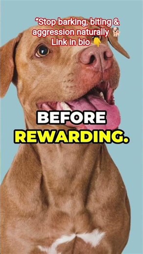 Stop Bad Dog Behavior Naturally.#dogtraining #stopbarking #dogbehavior #doghelp#shorts
