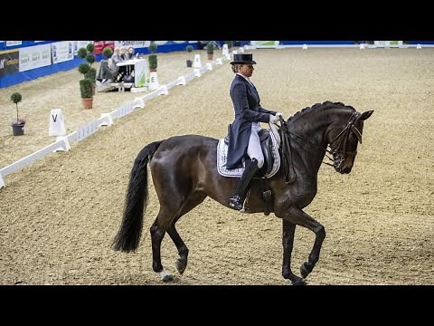 Dorothee Schneider: Stute der Olympia-Siegerin stirbt bei Siegerehrung - WELT