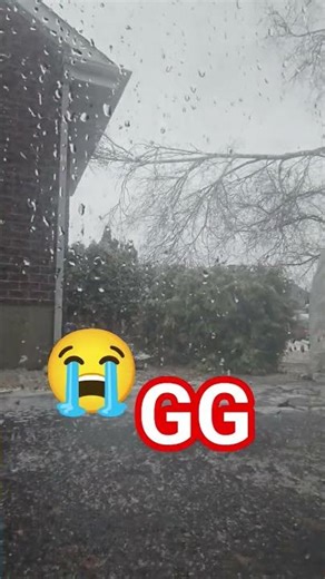 verglas ice rain pluie glacer - Voisin L'arbre a fendu sur sa maison - Tree Fall on Neightboor House