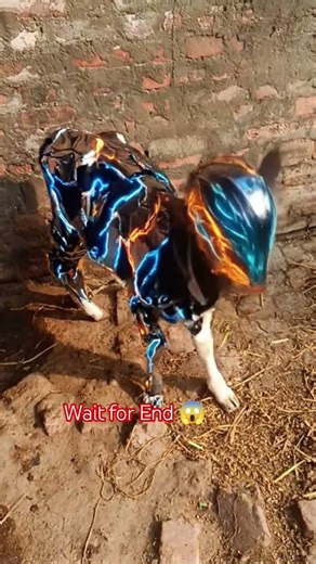 Wait for End 😱 #tutorials #shorts