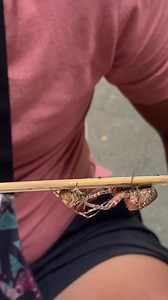 Naa kaya mosukol ani? haha | Mark Angelo Aquino