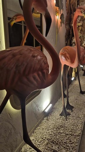 Explore the Benefits of the Live Incentive Program