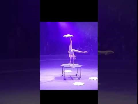 Solo Circus Gymnast Performance | Graceful Power on Stage#circus#gymnast#viralvideos