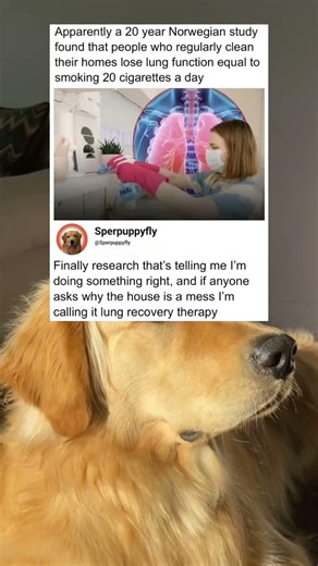 people who regularly clean their homes lose lung function equal