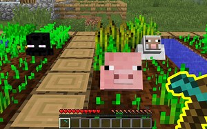 当生物能够「可再生」地被种植！