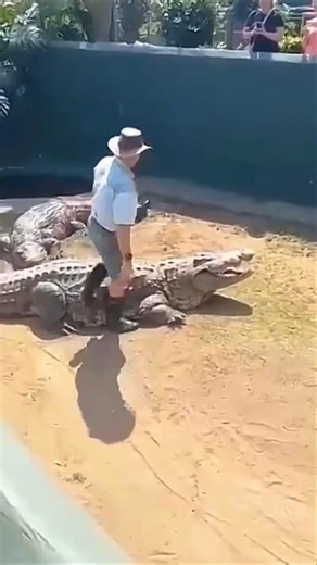 How To Survive a Crocodile Attack 🐊 #shorts
