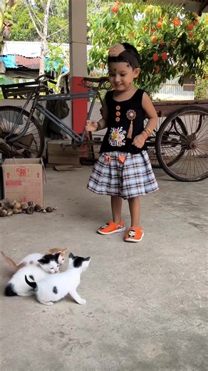 A kiss of love| cat Lover Cute Baby 😍 #cute #happy #baby #cat #kittens #catlovers #lovecats #meow #joy | Andaman Baby