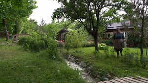 🍯 Golden Nectar Collecting Honey and Creating Homemade Sweets 🐝 | Country Life Vlog