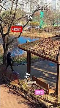 #초안산근린공원#세월강#김태연#즐거운시간#동네한바퀴