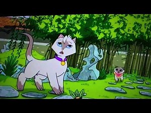 Sagwa the Chinese Siamese Cat- Explorers Club