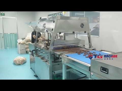 Chocolate Coating Machine - Efficient and Precise Coating for Perfect Sweets