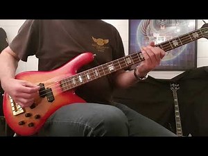 Lake - 'Celebrate' Bass Cover - Heiko Effertz - Spector