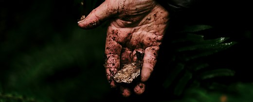 Watch DIRT on Huckberry