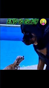 Repeat it again 💀 #trollface #edit #shorts