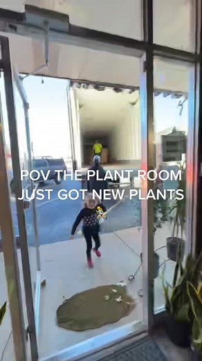 The Plant Room- Springfield MO on TikTok