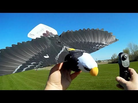 Go Go Bird Eagle RC Bird Flight Test Review