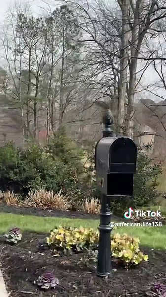 🇺🇸🏡 American life . . . . . #usa🇺🇸 #🇺🇸 #usa_tiktok #americanlife #foryoupage #houseoftiktok #house #usalife #lifestyle #usavibes #naber