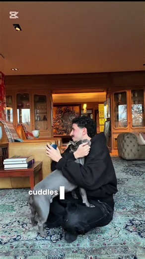 A Day in the Life of a Parisian Man