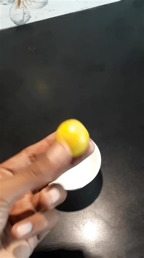 How to Grow Lemon Trees at Home in Pots