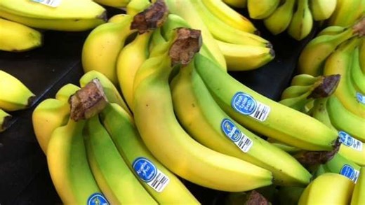 Could a fungal disease cause the most common type of banana to go extinct? Here's what experts say