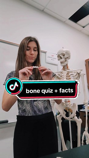 #anatomy #learnfromme #studywithme #studytok #studytok #study #anatomyclass #anatomyandphysiology #anatomylesson #bone #quiz #bones