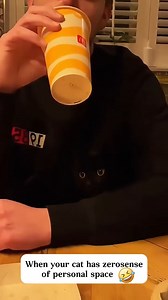 When your cat have zero sense of personal space#animalovers | My Bestie