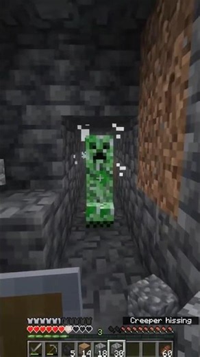 Minecraft game play