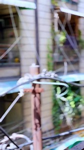 1.4K views · 2.4K reactions | Aur aag lage aisi mohabbat ko❤️…… #trending #reels #viral #mohbbat | Shanno Kumari | Facebook