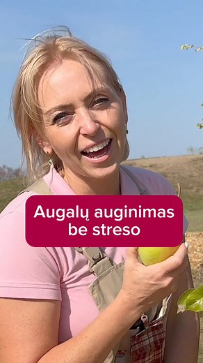 Vieniems augalų auginimas kelia malonumą, o kitiems stresą 😫🌱 Ir tas stresas dažniausiai kyla iš nežinojimo ir nusivylimo, kai kažkas nepasiseka. Tad kviečiu sudalyvauti naujuose mokymuose 👉 https://sodomokykla.lt/augalu_auginimas_be_streso ir pasimokyti iš jau esamų video pamokų apie augalų sodinimą ir priežiūrą bei užduoti man klausimus ir sukaukti atsakymų 👌🎁 Iki rugsėjo 9d. užsiregistravus laukia DOVANOS, kurių vertė beveik tokia pat, kaip ir pačių mokymų 👍.#augaluauginimas #augaluprie