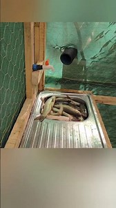 رجل يصطاد الأسماك وهو نائم