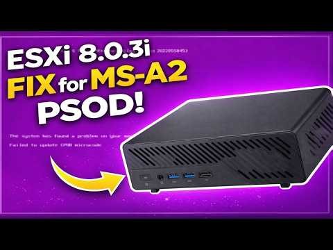 Minisforum MS-A2 HOW TO: Fix the Failed to Update CPU#0 Microcode PSOD with ESXi 8.0.3i ESXi 8.0u3i