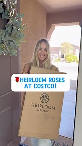 🌹 @HeirloomRoses are available for a limited time on Costco.com! -Family owned, Heirloom Roses ONLY sells own-root roses—the natural and sustainable way to grow roses. -Own-root roses are more disease-resistant, always stay true to variety, and come with strong, established root systems that are ready to thrive. -They use state-of-the-art viral and genetic testing to ensure we’re delivering the healthiest roses, giving your plants the best start for a lifetime of beauty and vitality. -These ros