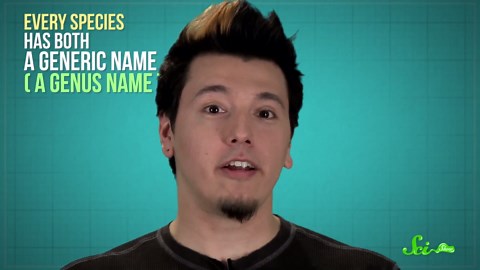 10 hilarious scientific names you have to hear to believe