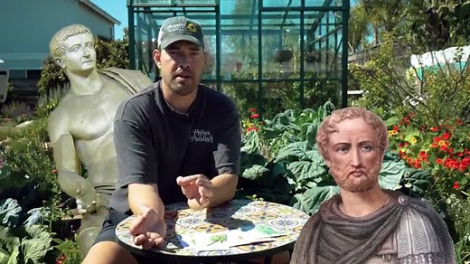 How to Grow Cucumbers from Seed to Harvest