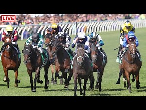 Melbourne Cup 2024 Live Stream | 2024 Melbourne Cup Horse race Full Race