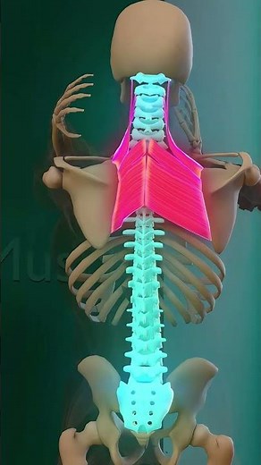 Neck & Upper Back Pain Relief Exercises | 5 Min Physio Routine