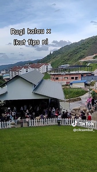 Tips for Visiting The Sheep Sanctuary in Cameron Highlands
