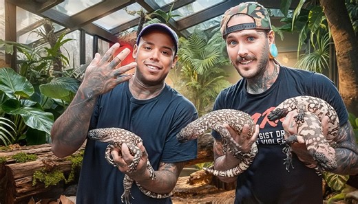 A venomous lizard bite turns routine handling into an emergency