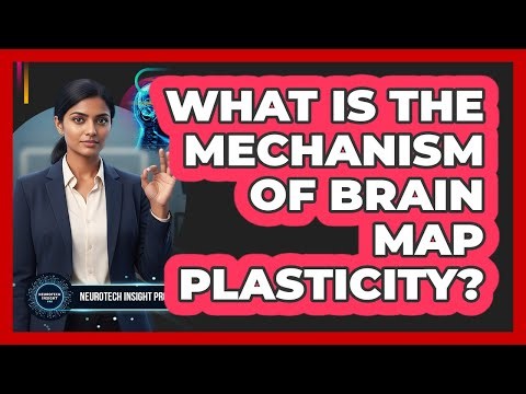 What Is The Mechanism Of Brain Map Plasticity?