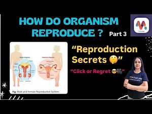 Part 3 : “Sexual Reproduction | NCERT Explained from Notes” #biology #youtube #education