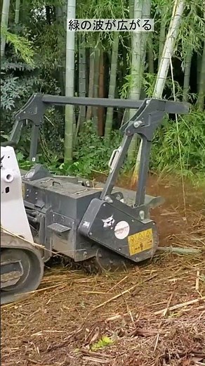 [Bamboo Forest Cutting and Crushing] Cutting and crushing bamboo using Bobcat and an excavator!