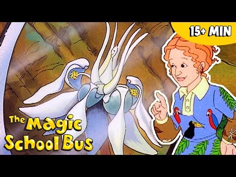 How Do Plants Grow? | Science for Kids | The Magic School Bus