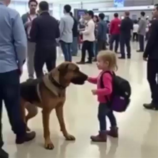 KOL_🚨Security Dog Started Barking at a Child’s Backpack—What Was Inside Made the Whole Airport Go Silent Watch see more | Camshift