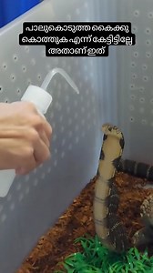 MARKET PRO #00887 | Market PRO