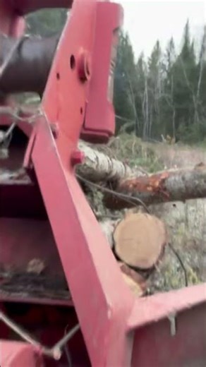 Old Timberjack skidder #detroitdiesel #skidder #timberjack #logging #shortvideo