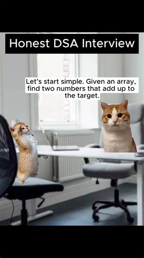 Cat Memes Tech | Tech Humor with Cats on Instagram: "Follow @catmemes_tech for more tech humor served by cats #programmingmemes #techmemes #coding #memes"